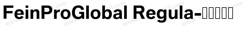 FeinProGlobal Regula字体转换